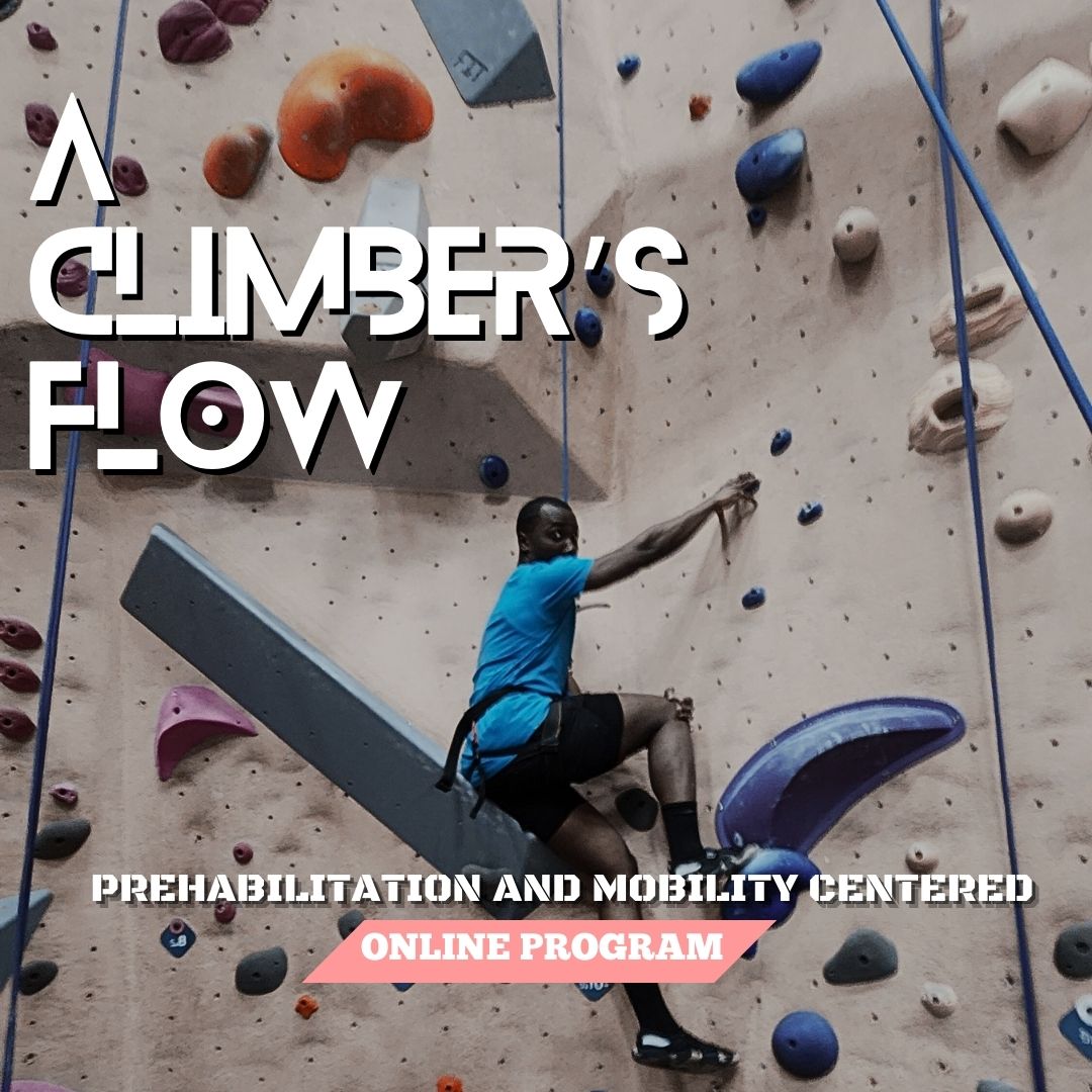 Text: A Climber's Flow. Rehabilitation And Mobility. Online Program. Graphics: Marcus G. Vilmé handing on a rock climbing wall.