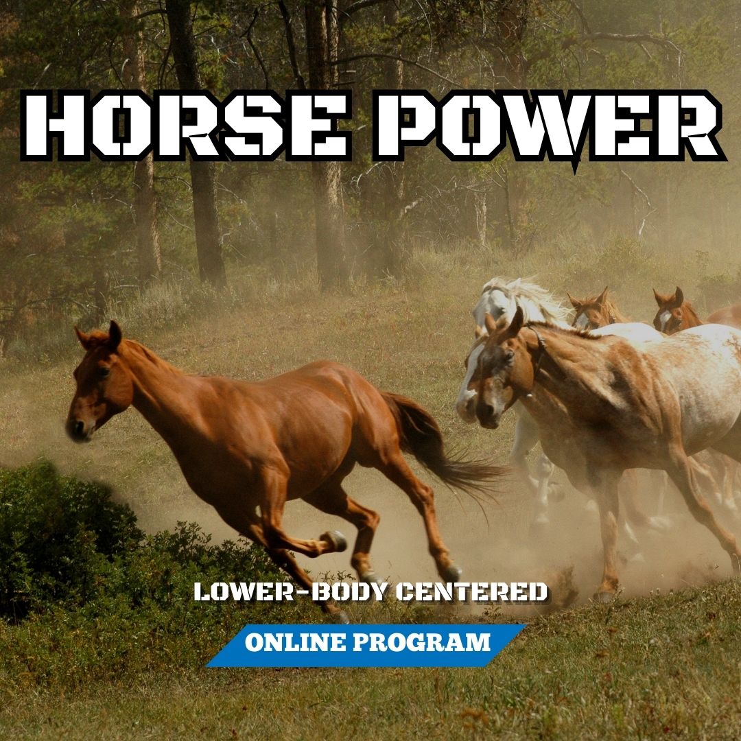 Text: Horse Power. Online Program. Graphics: Horses running in a field.